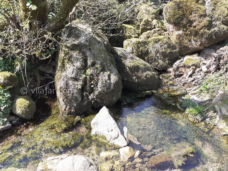 عکس شماره 608665 - اجاره ویلا ماسال با چشمه اختصاصی - سرچشمه که داخل حیاط ویلا بیرون میاید 