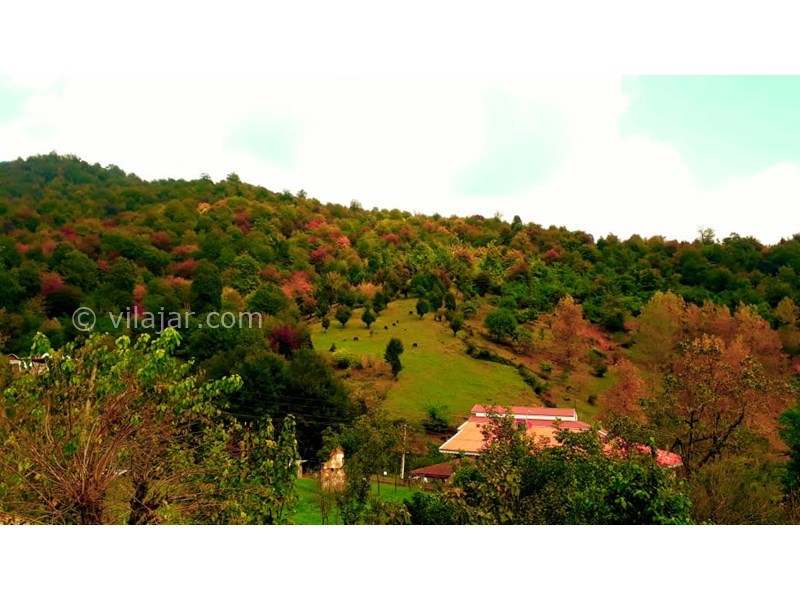 عکس شماره 608715 - اجاره ویلا چوبی جنگلی در ماسال - 