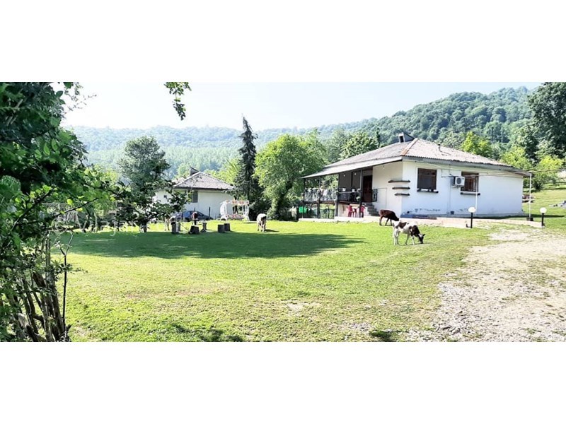 عکس شماره 609977 - اجاره ویلا در ماسال در جنگل - 