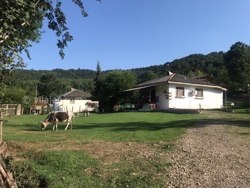 عکس شماره 609978 - اجاره ویلا در ماسال در جنگل - 