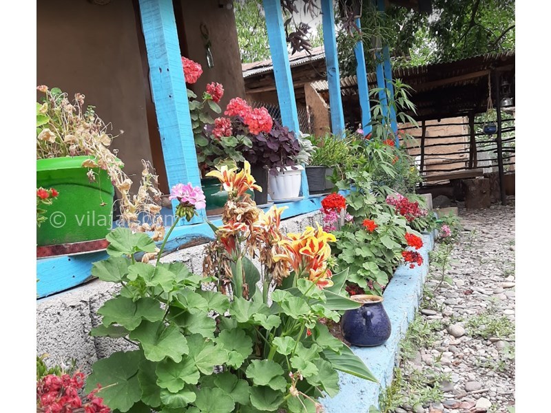 عکس شماره 611609 - اقامتگاه شیرین و فرهاد در رستم آباد -