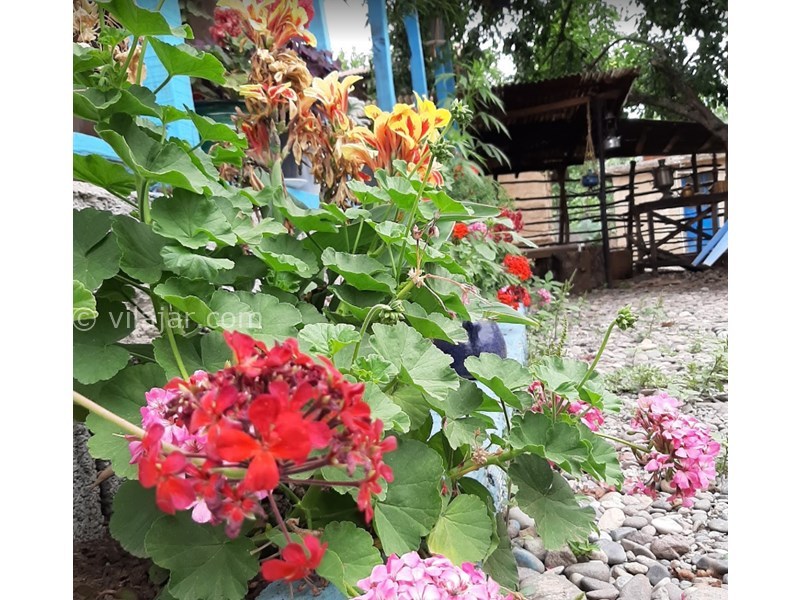 عکس شماره 611610 - اقامتگاه شیرین و فرهاد در رستم آباد -