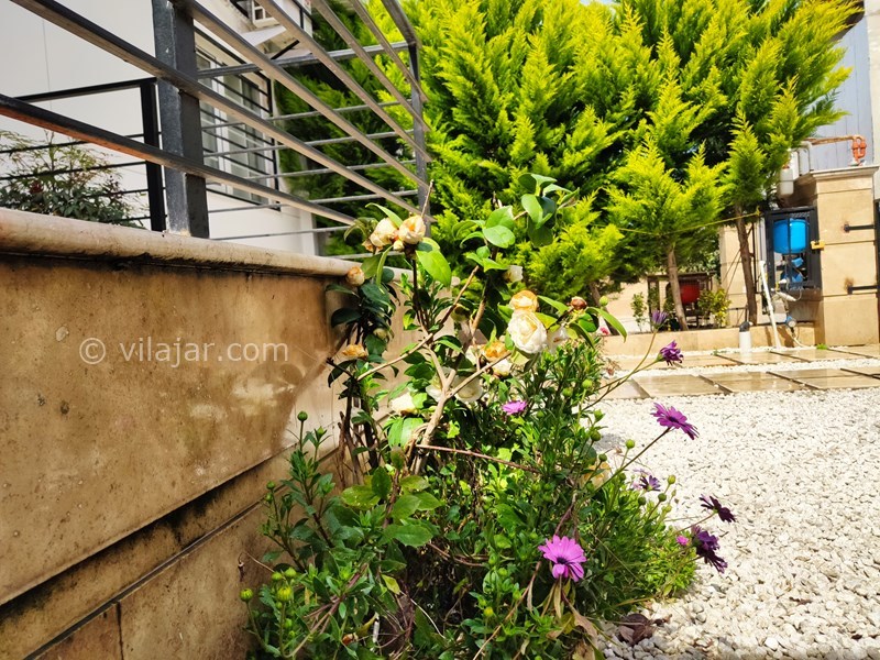 عکس شماره 611809 - اجاره ویلا ساحلی در فریدونکنار - 