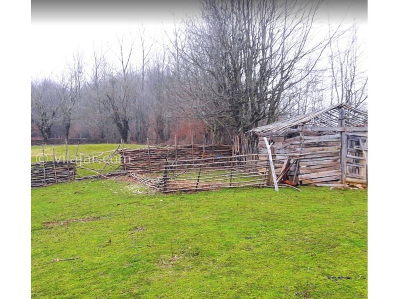 عکس شماره 611848 - اقامتگاه بومگردی گیلان تاج کلبه 2 -