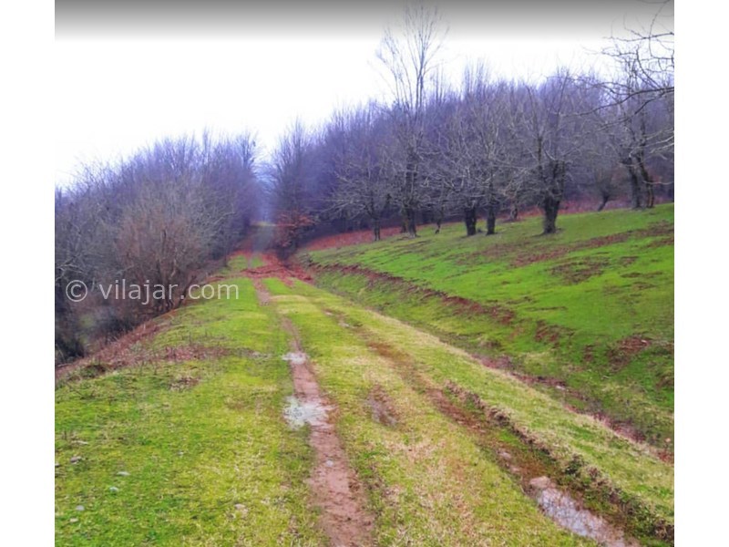 عکس شماره 611858 - اقامتگاه بومگردی گیلان تاج کلبه 2 -