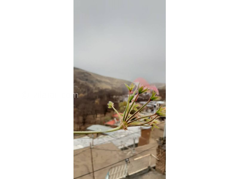 عکس شماره 612601 - اقامتگاه بومگردی ساره گل -