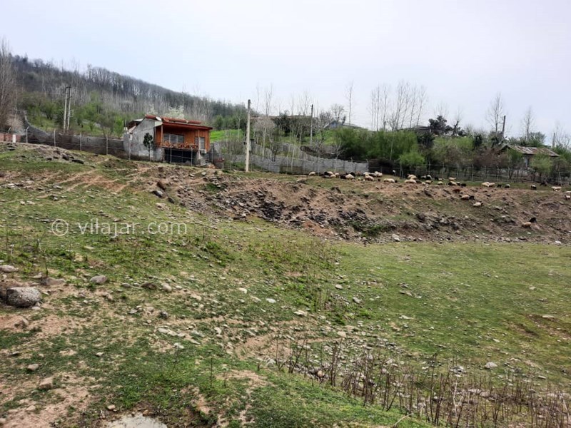 عکس شماره 612646 - اجاره ویلا در سوادکوه لفور - 