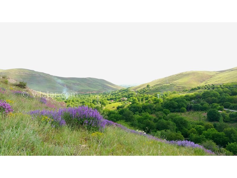 عکس شماره 612951 - اقامتگاه بوم گردی ترلان - طبیعت زیبا و کم نظیر ترخین آباد