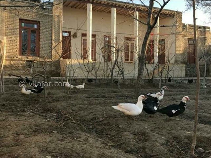 عکس شماره 613092 - اقامتگاه تاریخی بومگردی یحیی بیگ - 