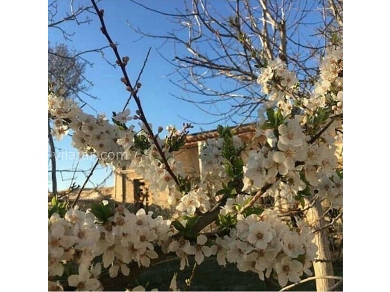 عکس شماره 613094 - اقامتگاه تاریخی بومگردی یحیی بیگ - 