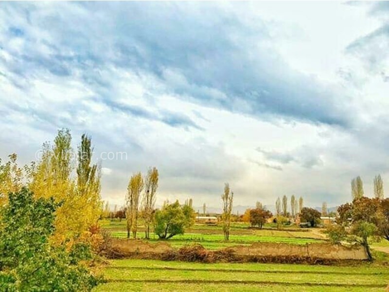 عکس شماره 613101 - عمارت بومگردی خانه سیفیها -