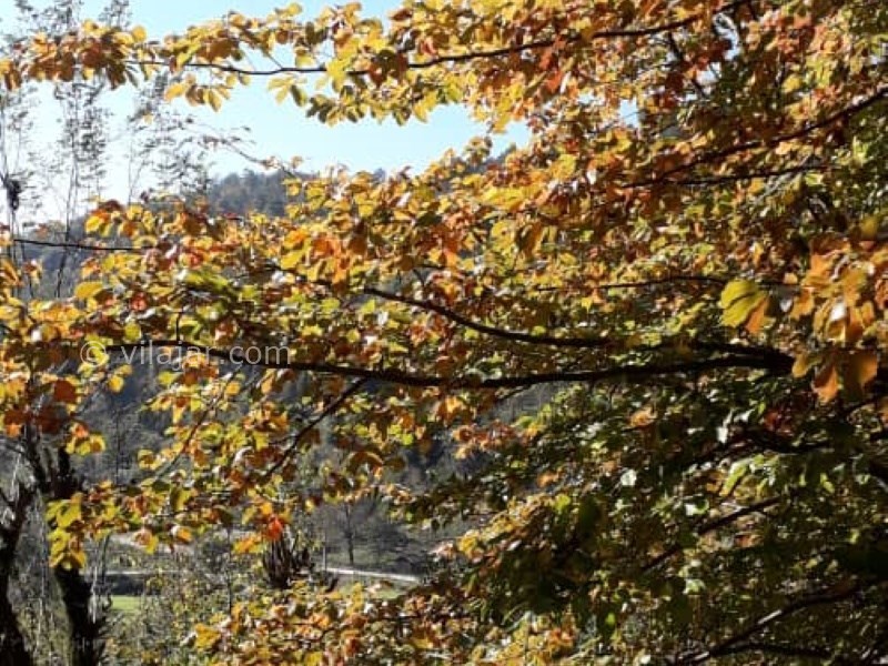 عکس شماره 613209 - اقامتگاه گردشگری خوش نشین - 