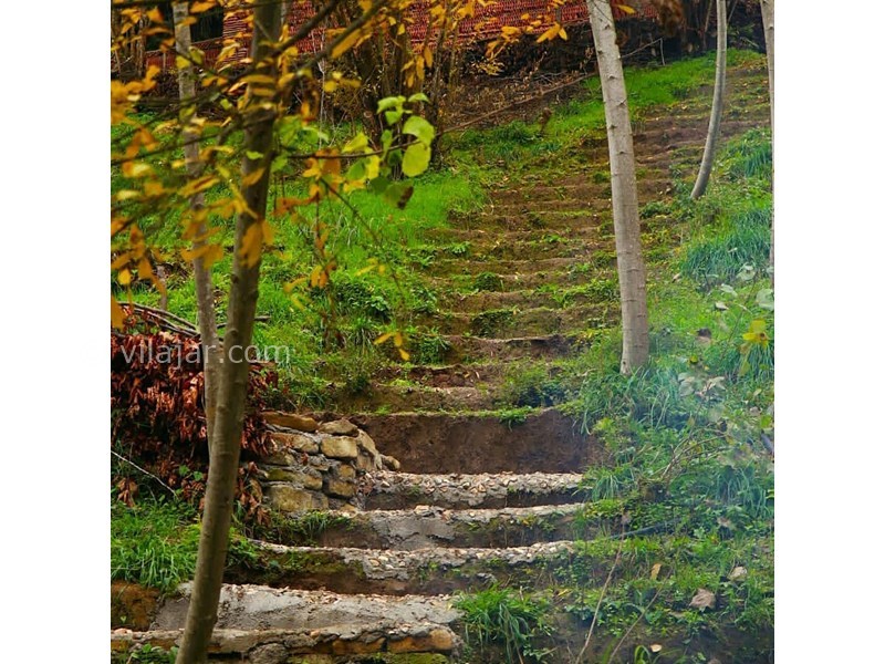 عکس شماره 613222 - کلبه کاج در اقامتگاه بومگردی کومه -