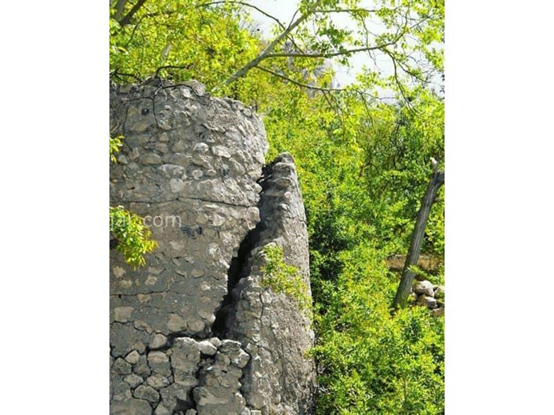 عکس شماره 613234 - اقامتگاه بومگردی آس دهمورد - 