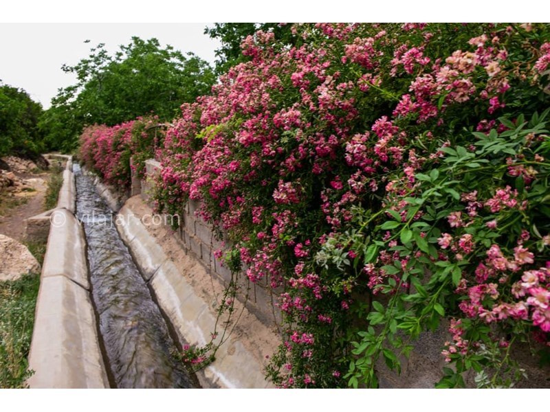 عکس شماره 613236 - اقامتگاه بومگردی آس دهمورد - 