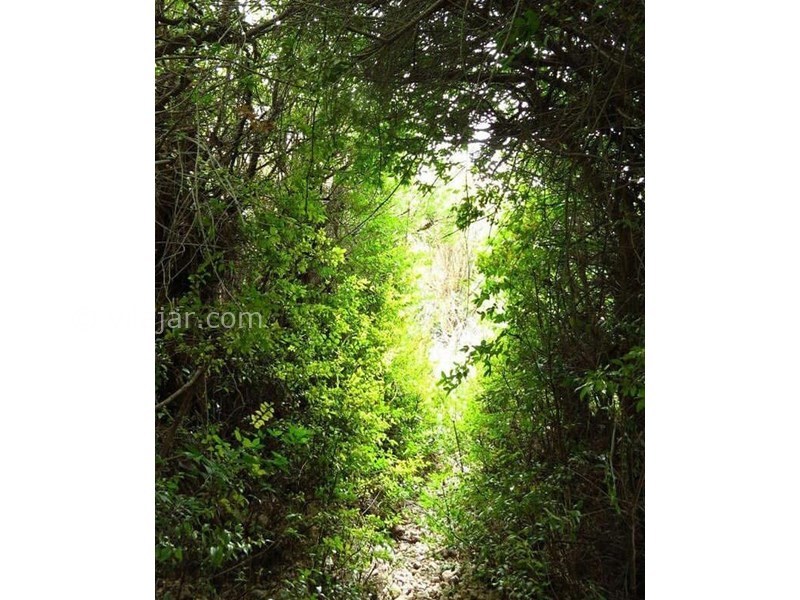 عکس شماره 613243 - اقامتگاه بومگردی آس دهمورد - 