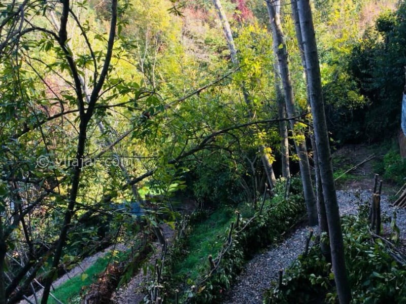 عکس شماره 613415 - کلبه کاج در اقامتگاه بومگردی کومه -