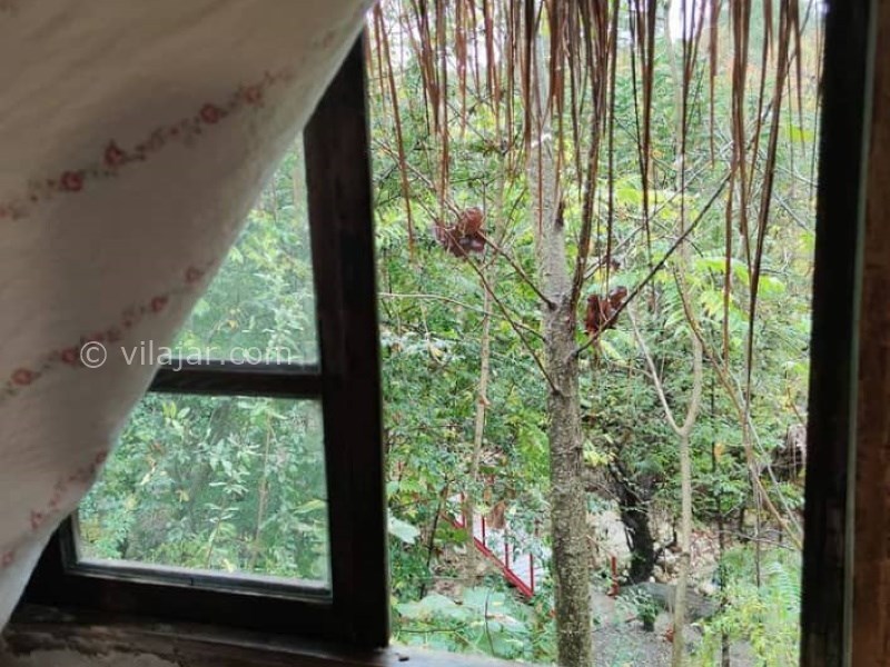 عکس شماره 613430 - کلبه صنوبر در اقامتگاه بومگردی کومه -