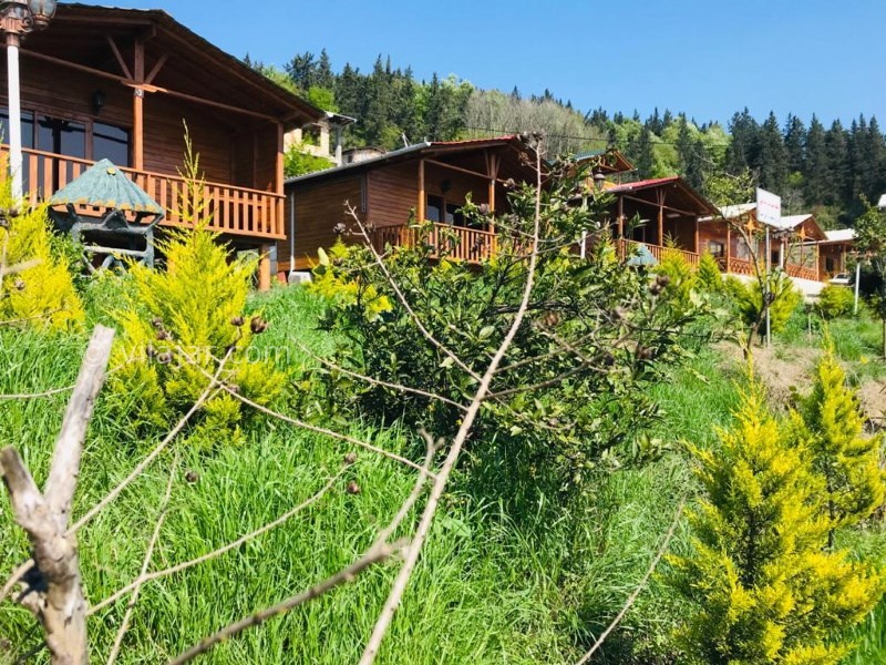 عکس شماره 614039 - اجاره کلبه چوبی الیزه در شیرگاه - 