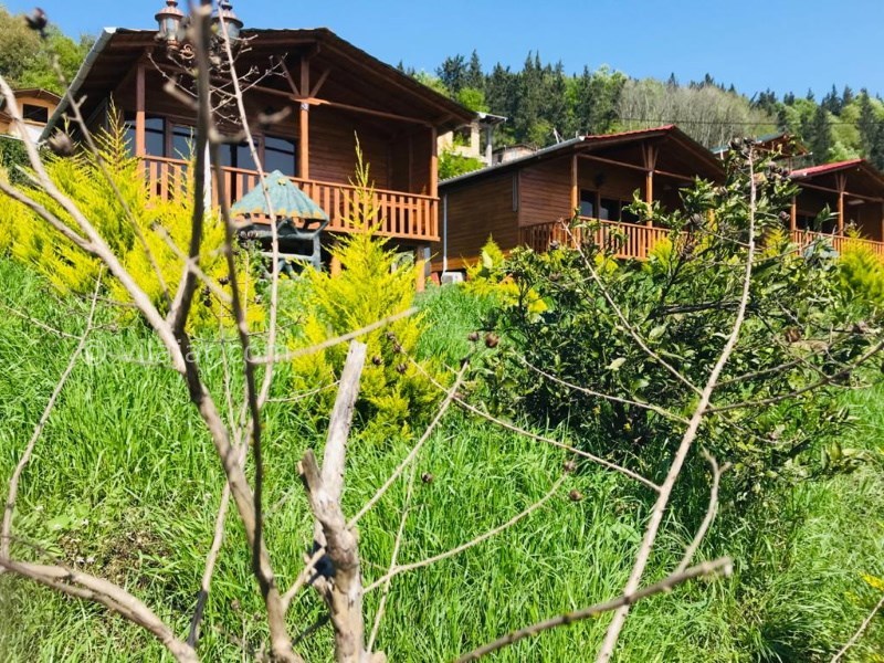 عکس شماره 614041 - اجاره کلبه چوبی الیزه در شیرگاه - 