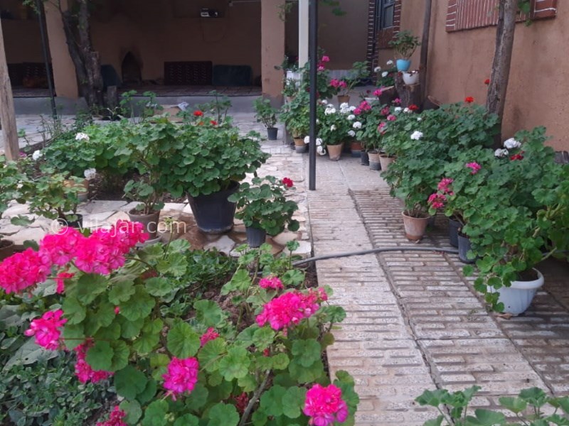 عکس شماره 614091 - اقامتگاه بومگردی ترنج ده چشمه -