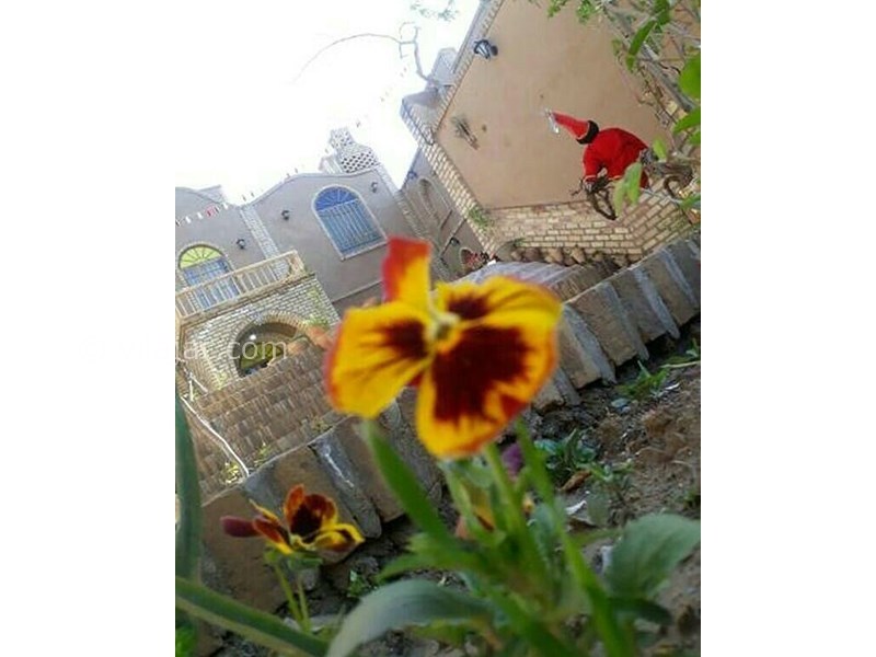 عکس شماره 614382 - اقامتگاه بومگردی رمضان بیک -