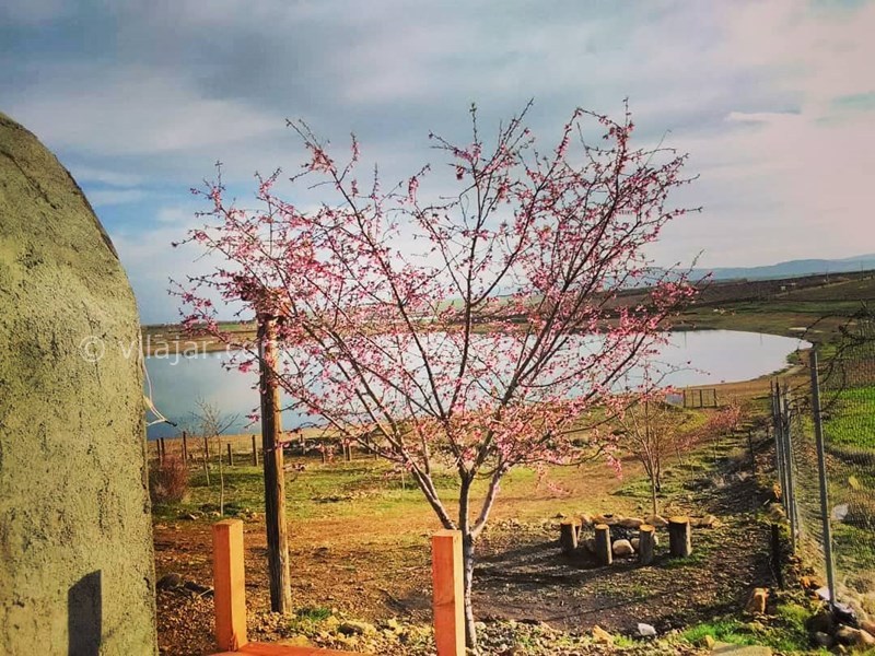 عکس شماره 614919 - اقامتگاه بومگردی بام برم - 