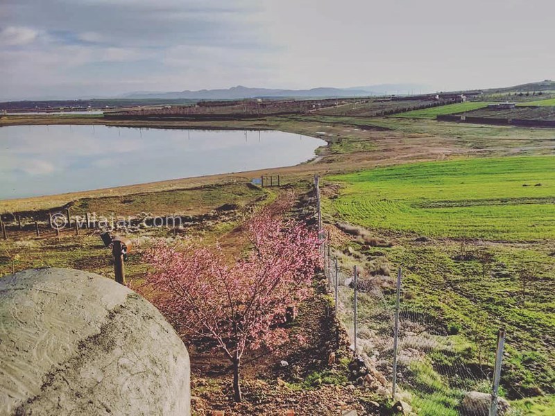 عکس شماره 614920 - اقامتگاه بومگردی بام برم - 