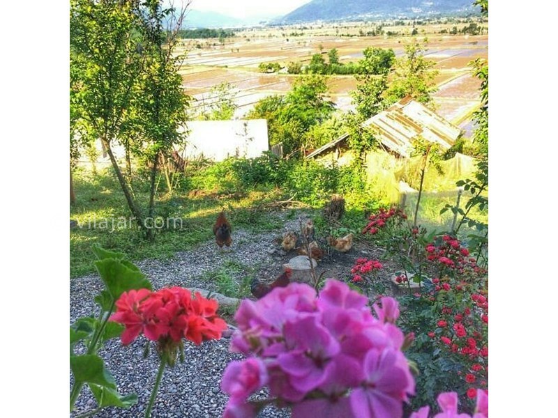 عکس شماره 614941 - اقامتگاه گلبند در سراوان گیلان -