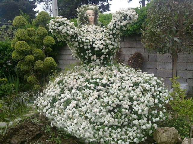 عکس شماره 61497 - اجاره ویلا در رامسر -