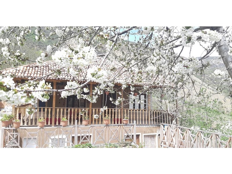 عکس شماره 615035 - اقامتگاه بومگردی سرونوش - 