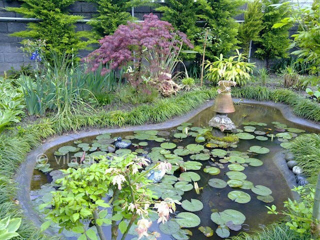 عکس شماره 61505 - اجاره ویلا در رامسر -