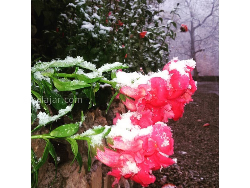 عکس شماره 615050 - اقامتگاه بومگردی سرونوش - 