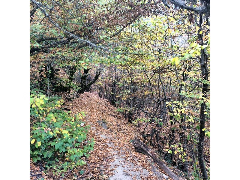 عکس شماره 615051 - اقامتگاه بومگردی سرونوش - 