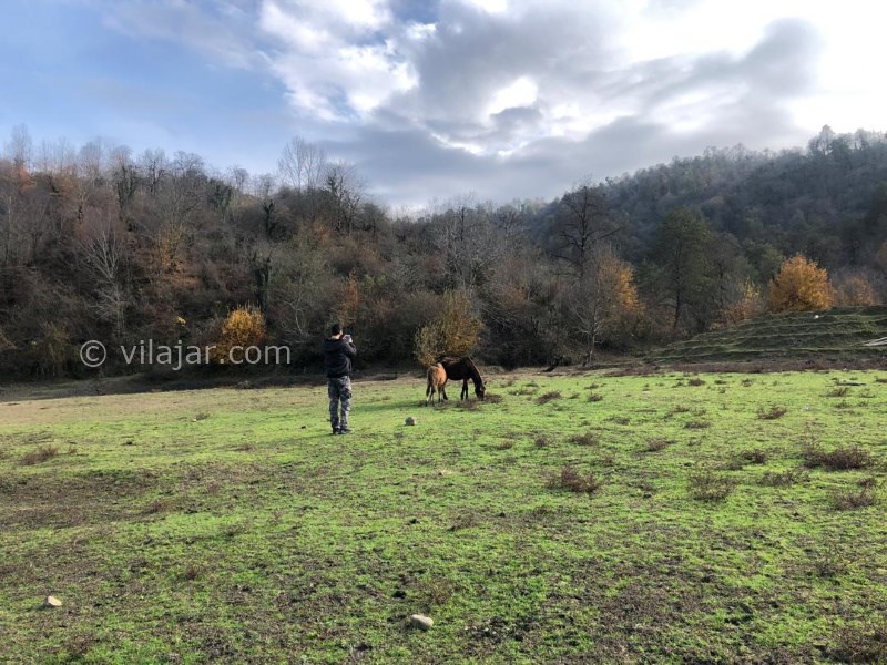 عکس شماره 615390 - اقامتگاه بومگردی كیوتی كاتِیج - 