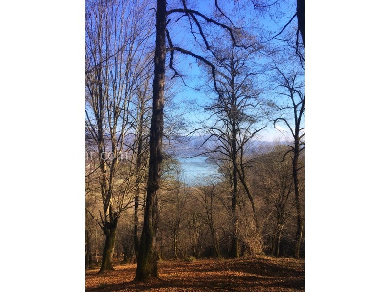 عکس شماره 615393 - اقامتگاه بومگردی كیوتی كاتِیج - 