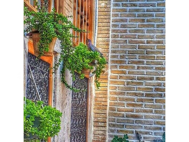 عکس شماره 615486 - اقامتگاه بومگردی آنا - 