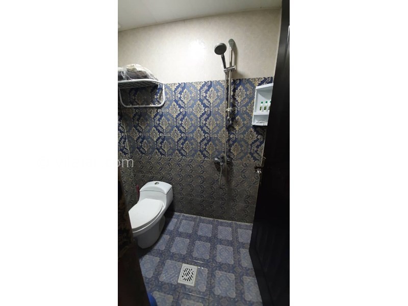 عکس شماره 615543 - مجموعه بومگردی دیلباب -