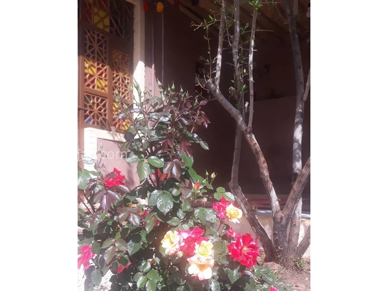 عکس شماره 615876 - اقامتگاه بومگردی خانه کالان -