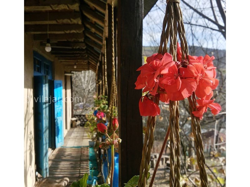 عکس شماره 615937 - عمارت تاریخی شاه پلنگ بیگ -