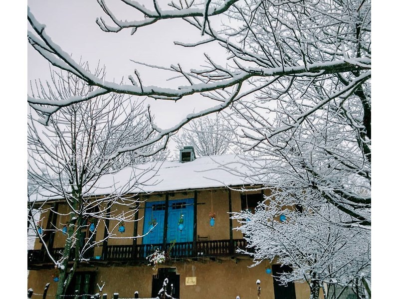 عکس شماره 615939 - عمارت تاریخی شاه پلنگ بیگ -