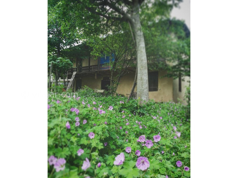 عکس شماره 615940 - عمارت تاریخی شاه پلنگ بیگ -