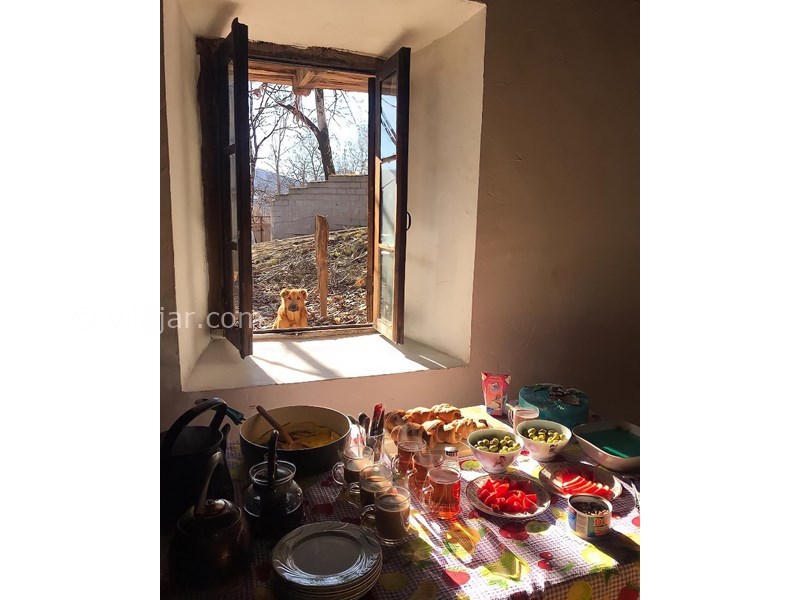 عکس شماره 615944 - عمارت تاریخی شاه پلنگ بیگ -