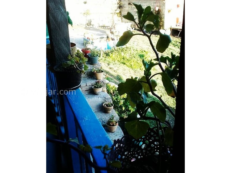 عکس شماره 615949 - اقامتگاه بومگردی ماه جون - 