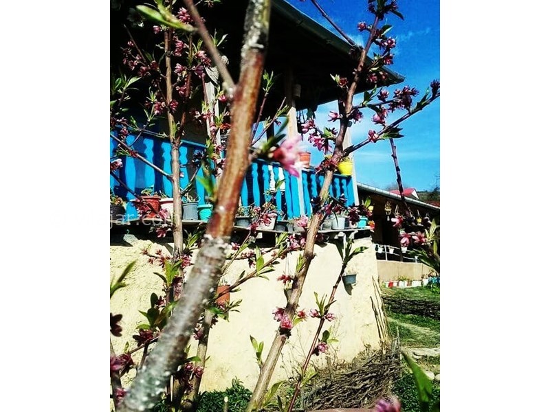 عکس شماره 615950 - اقامتگاه بومگردی ماه جون - 