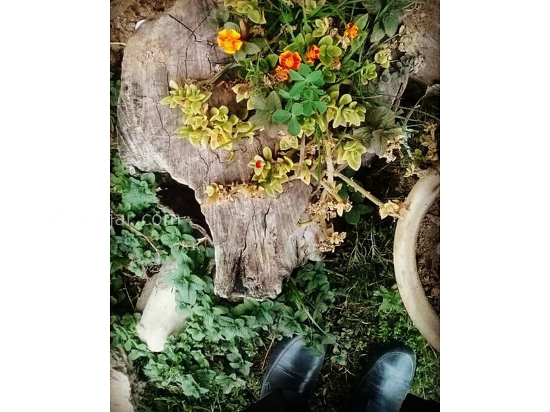 عکس شماره 615956 - اقامتگاه بومگردی ماه جون - 