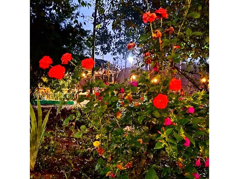 عکس شماره 616099 - اقامتگاه بومگردی تی تی ناز -