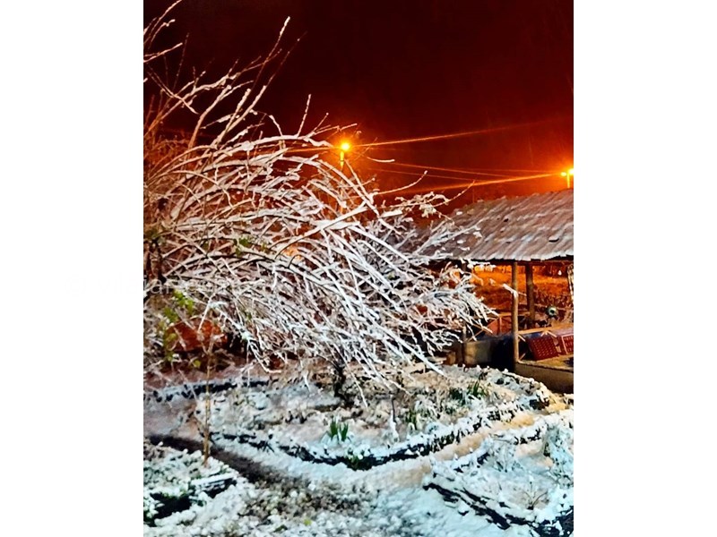 عکس شماره 616106 - اقامتگاه بومگردی تی تی ناز -