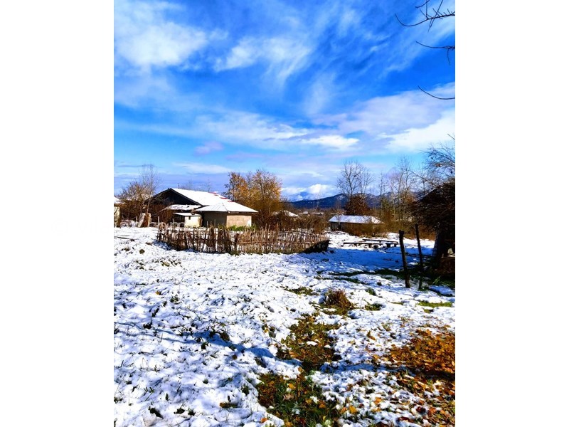 عکس شماره 616109 - اقامتگاه بومگردی تی تی ناز -