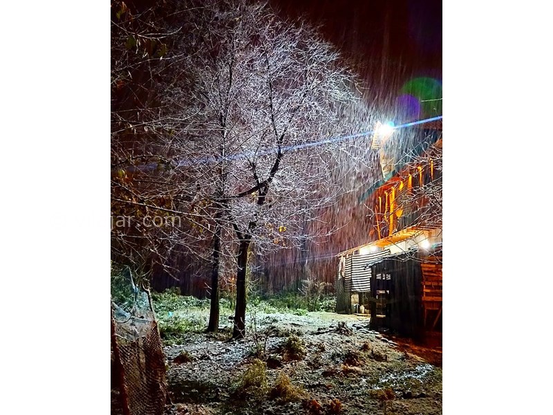 عکس شماره 616113 - اقامتگاه بومگردی تی تی ناز -